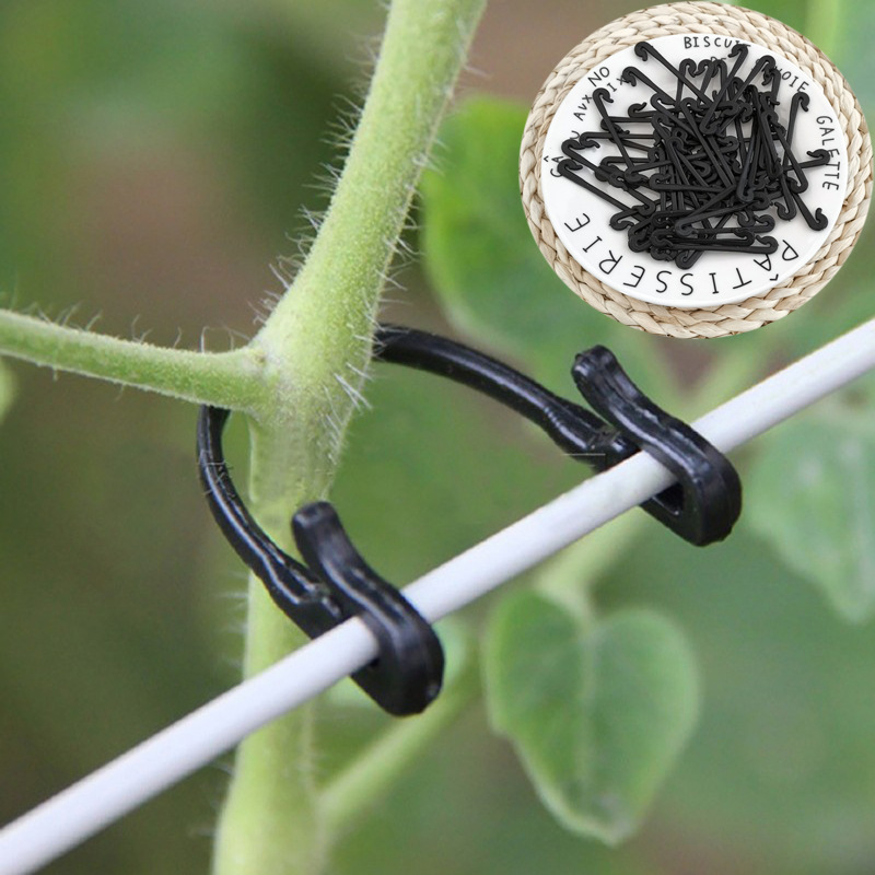 Gardening Tools For Vines - 50 sztuk winorośli zapięcie wiązane klipsy
