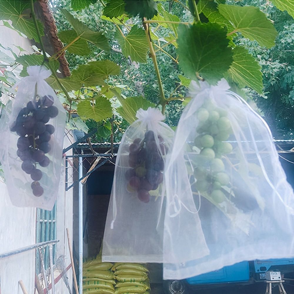 Grow Bags - 100 szt. Siatkowe worki do uprawy
