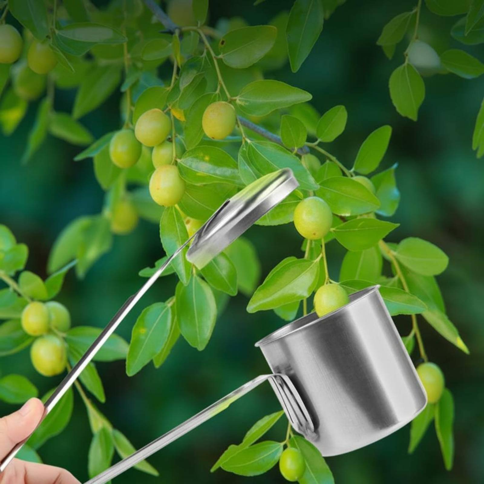 Gardening Tools Uses - Łyżka do zbierania owoców ze stali