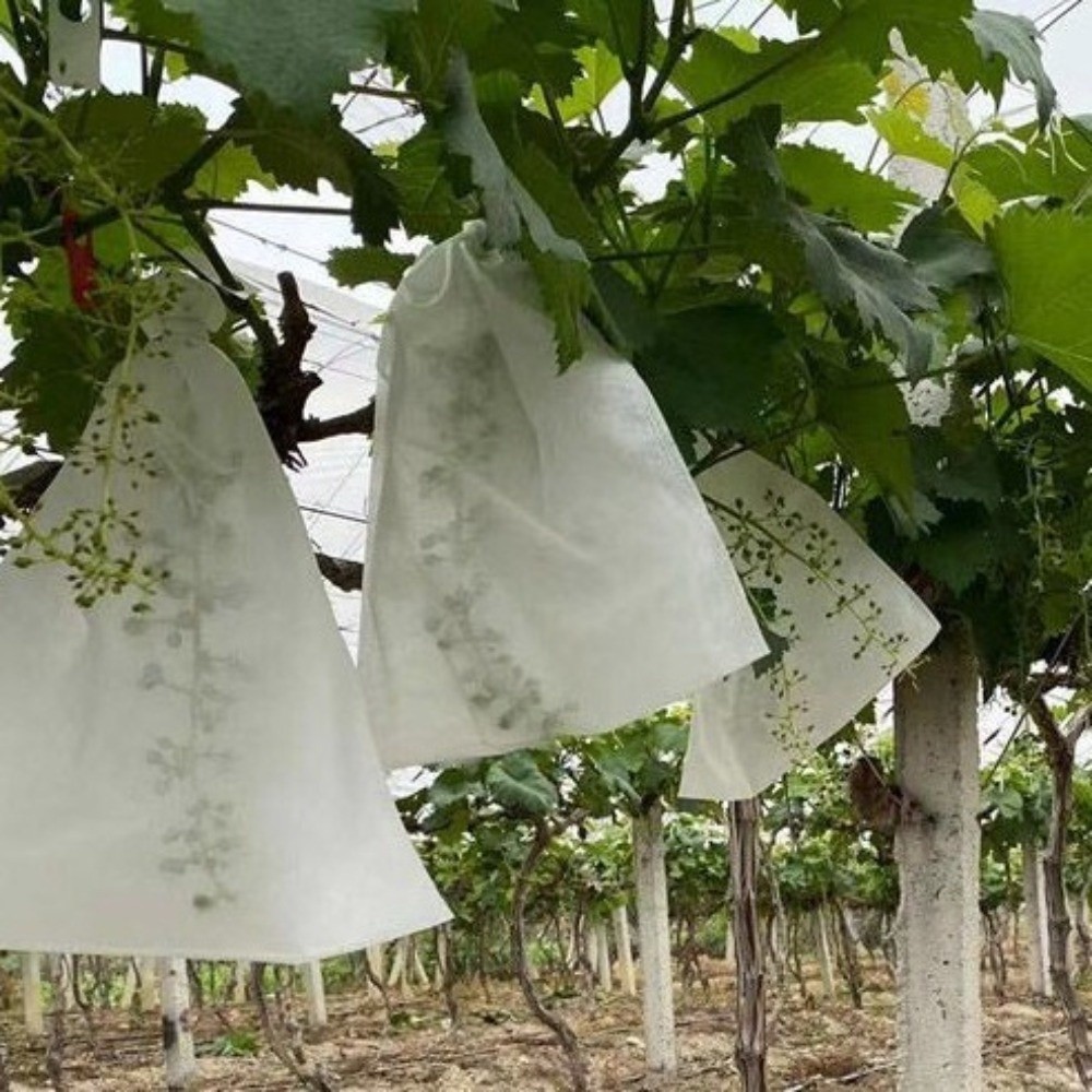 Grow Bags - 100 szt. Włókninowe worki ochronne na