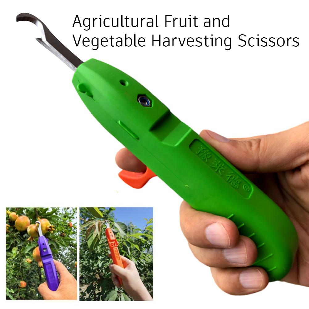 Sekatory ogrodnicze, narzędzia – Gardening Tools Scissors recenzja i cena