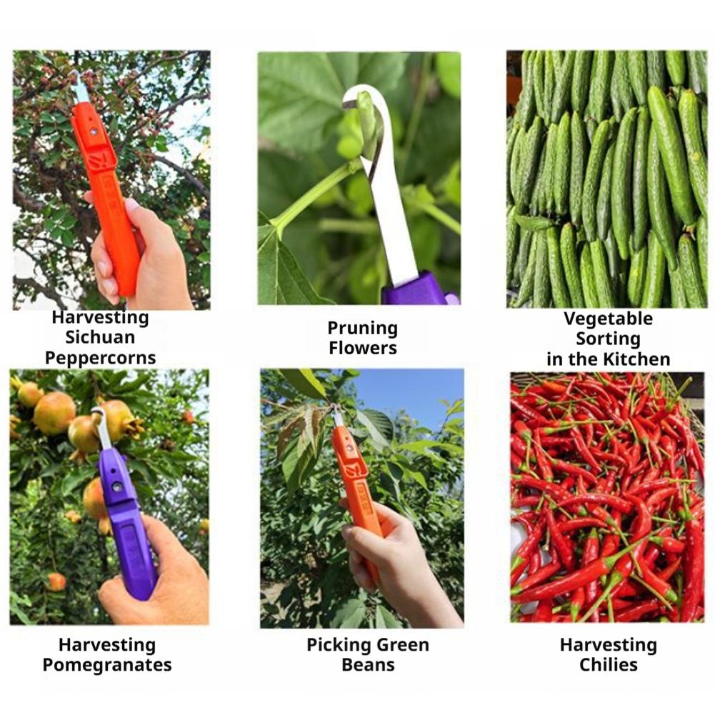 Sekatory ogrodnicze, narzędzia – Gardening Tools Scissors recenzja i cena