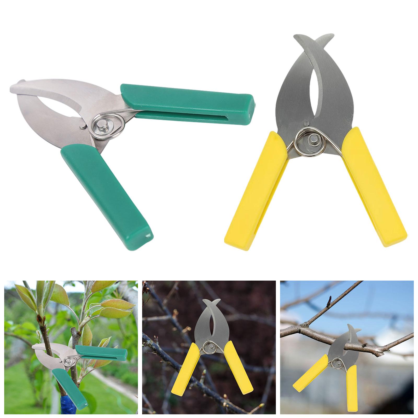 Nożyce do przycinania drzew og – Gardening Tools Scissors recenzja i cena