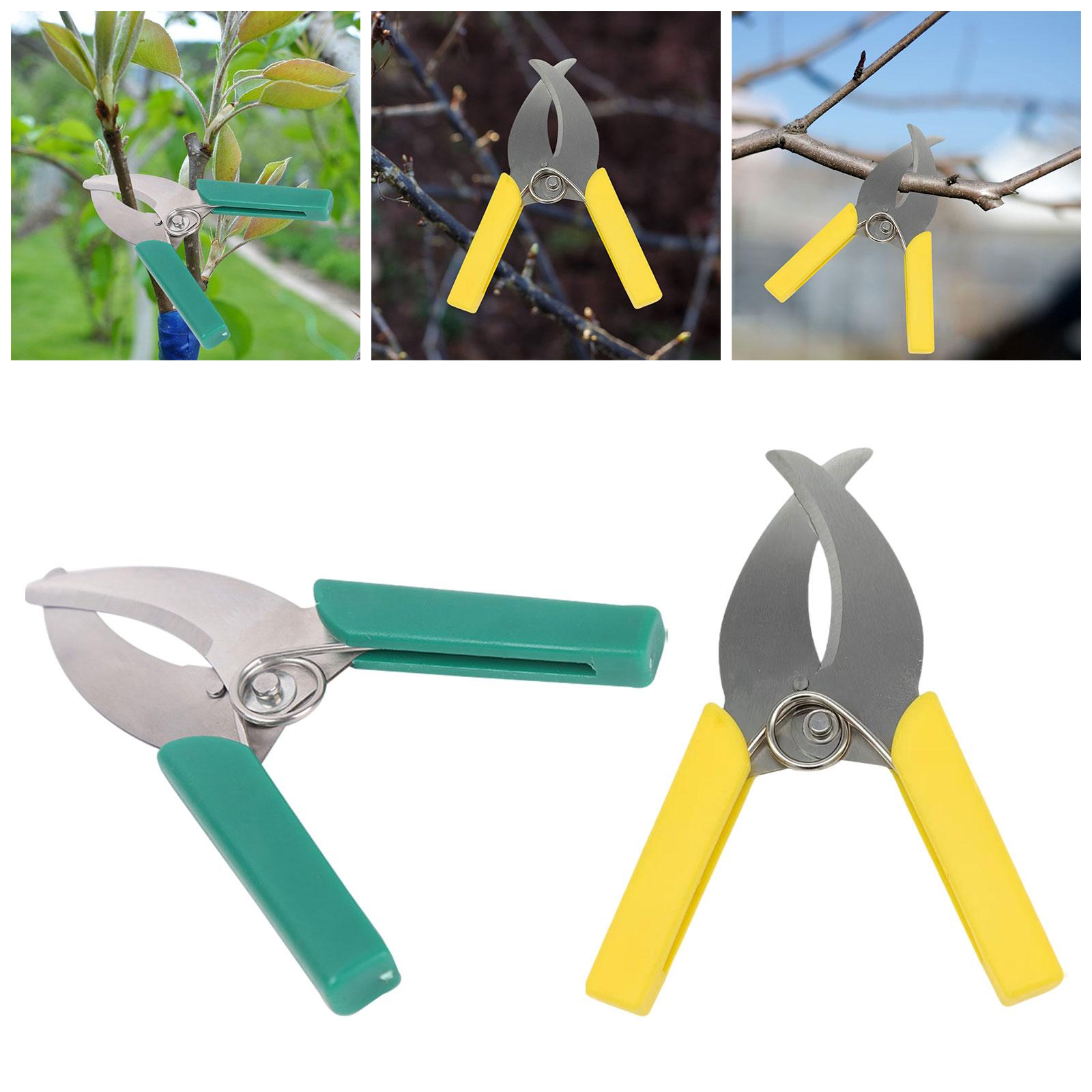 Nożyce do przycinania drzew og – Gardening Tools Scissors recenzja i cena