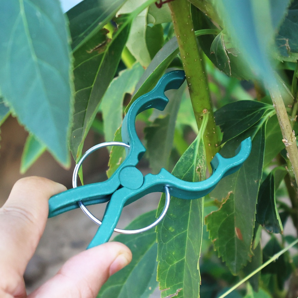 50/10 SZT. Klipsy do podpieran – Gardening Tools For Vines recenzja i cena
