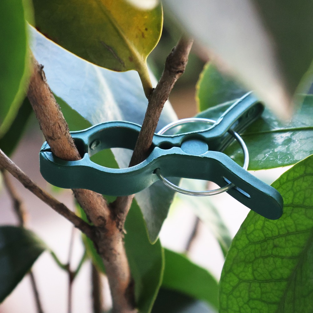 50/10 SZT. Klipsy do podpieran – Gardening Tools For Vines recenzja i cena