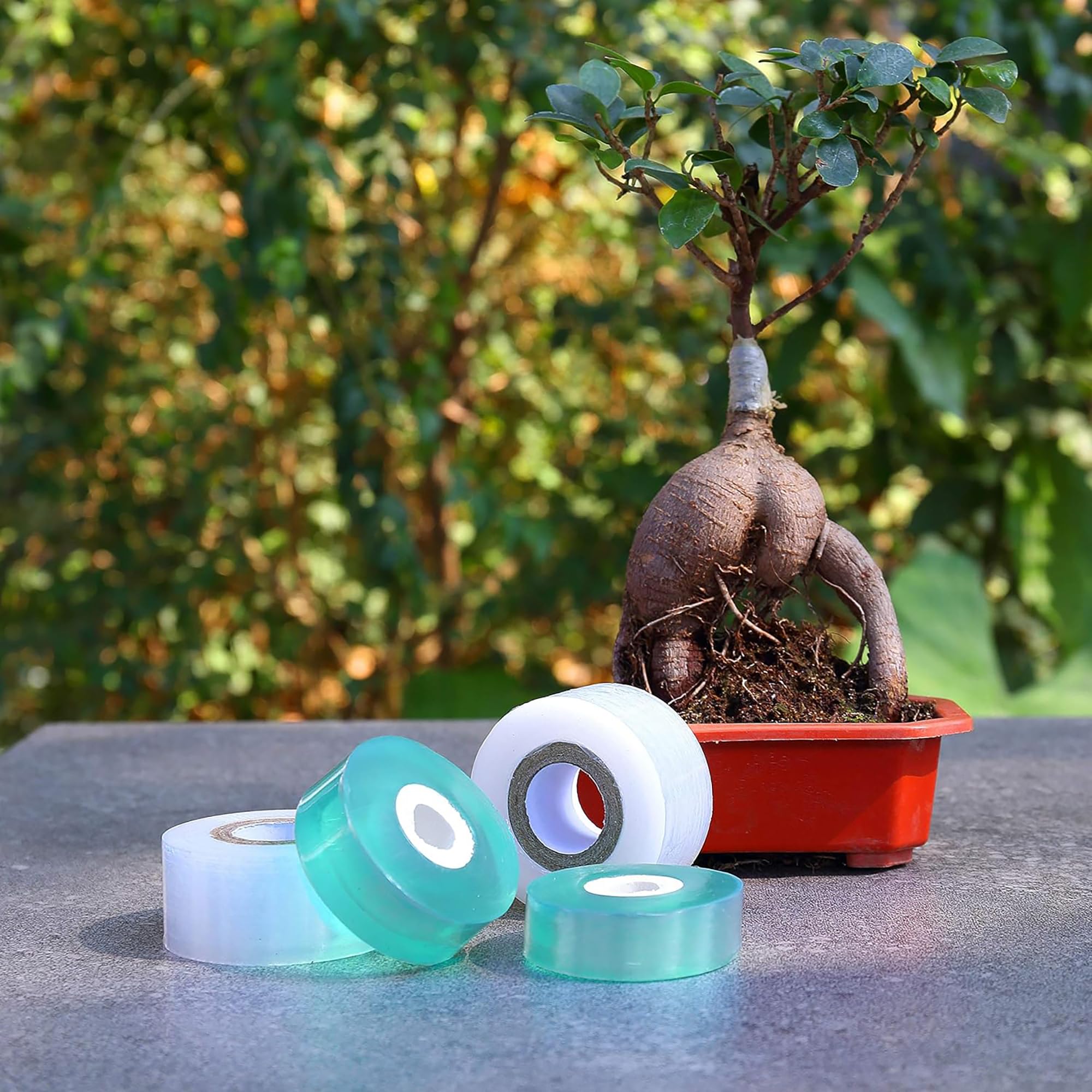Łatwa w użyciu biodegradowalna – Gardening Tools Uses recenzja i cena