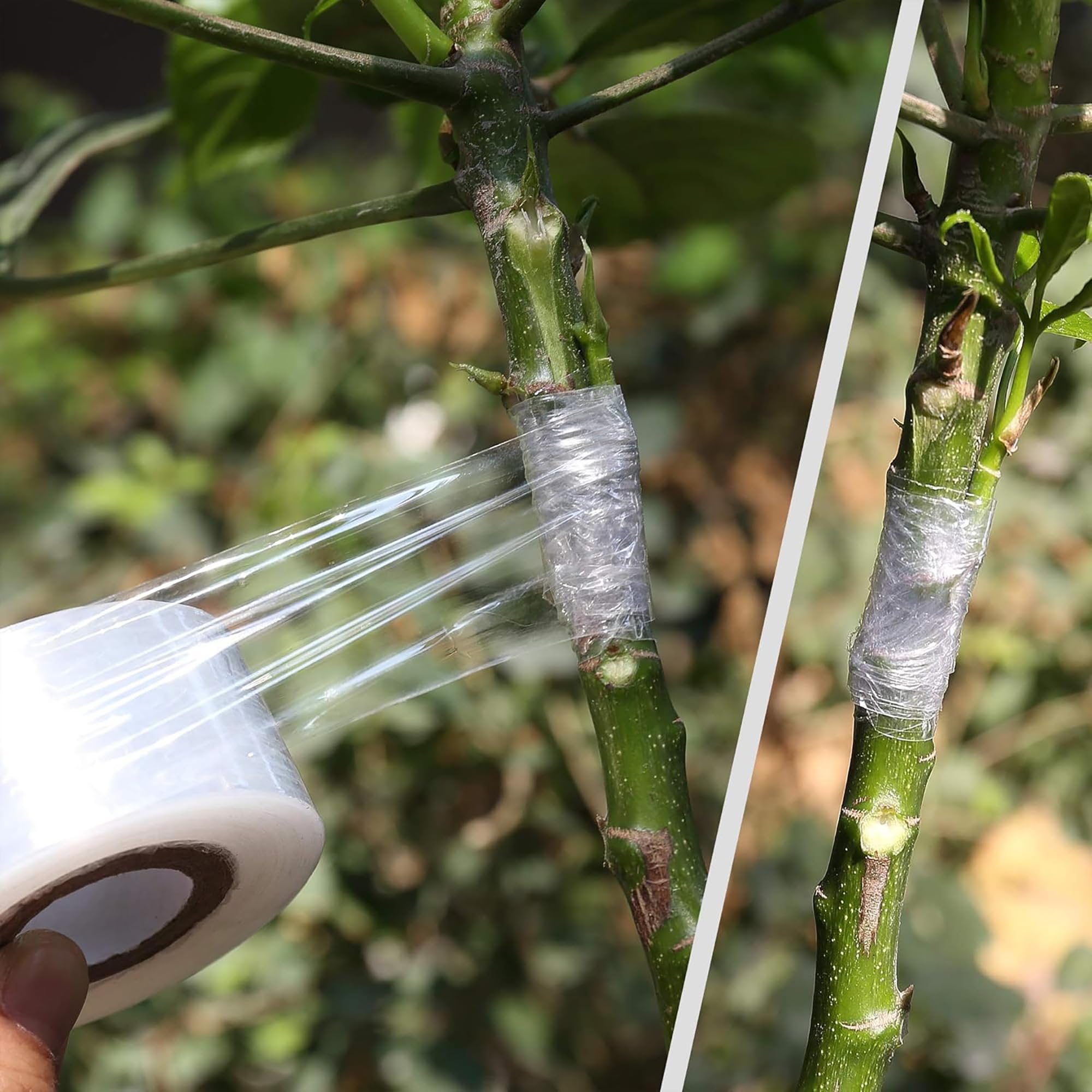 Łatwa w użyciu biodegradowalna – Gardening Tools Uses recenzja i cena