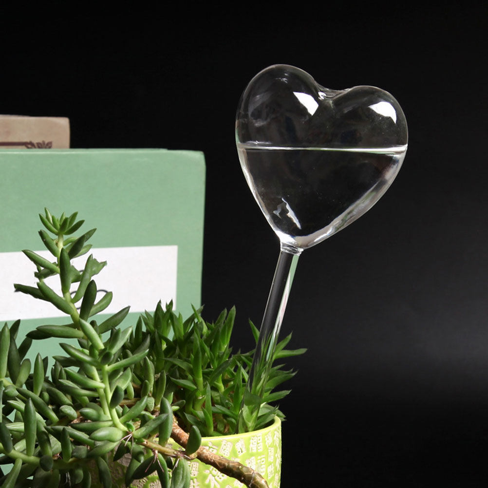 3 szt. Szklane globy samozrasz – Gardening Tools For Home recenzja i cena