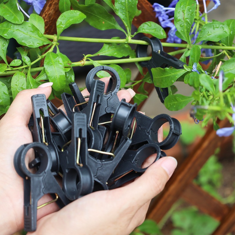 Nowe 100/10 szt. Klipsy do pod – Gardening Tools For Vines recenzja i cena