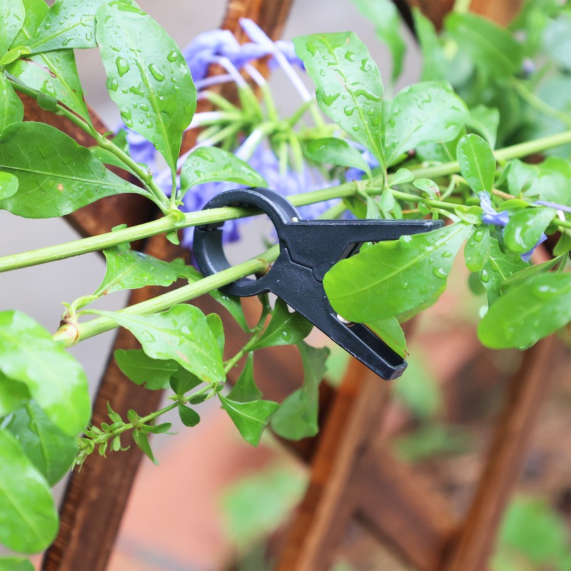 Nowe 100/10 szt. Klipsy do pod – Gardening Tools For Vines recenzja i cena