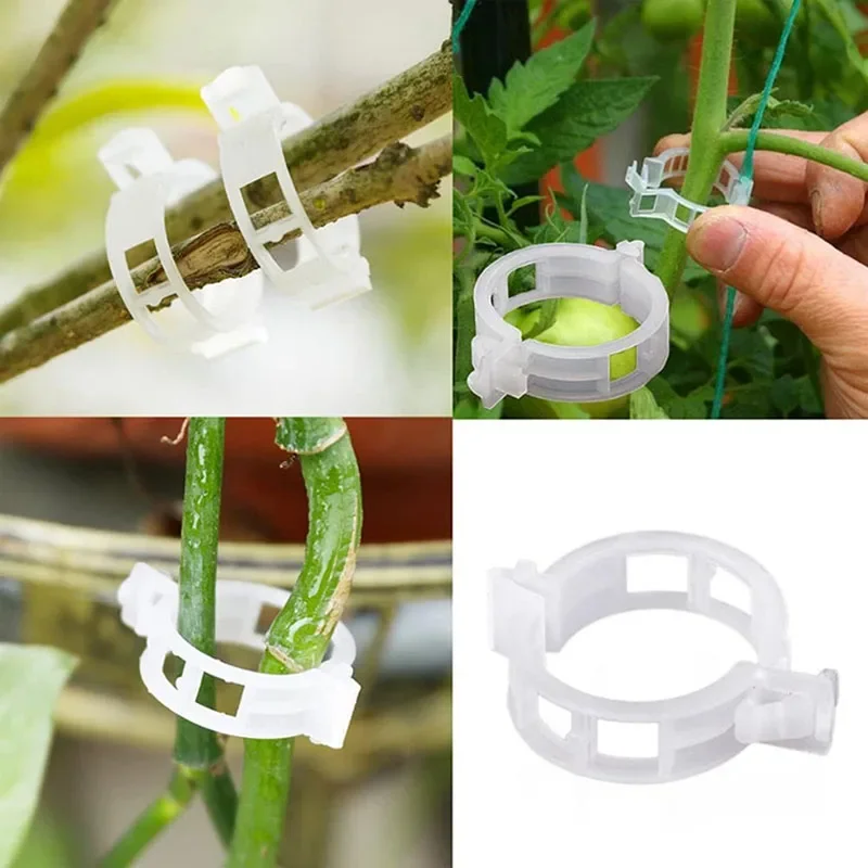 100 SZTUK Klipsy do mocowania  – Gardening Tools For Vines recenzja i cena