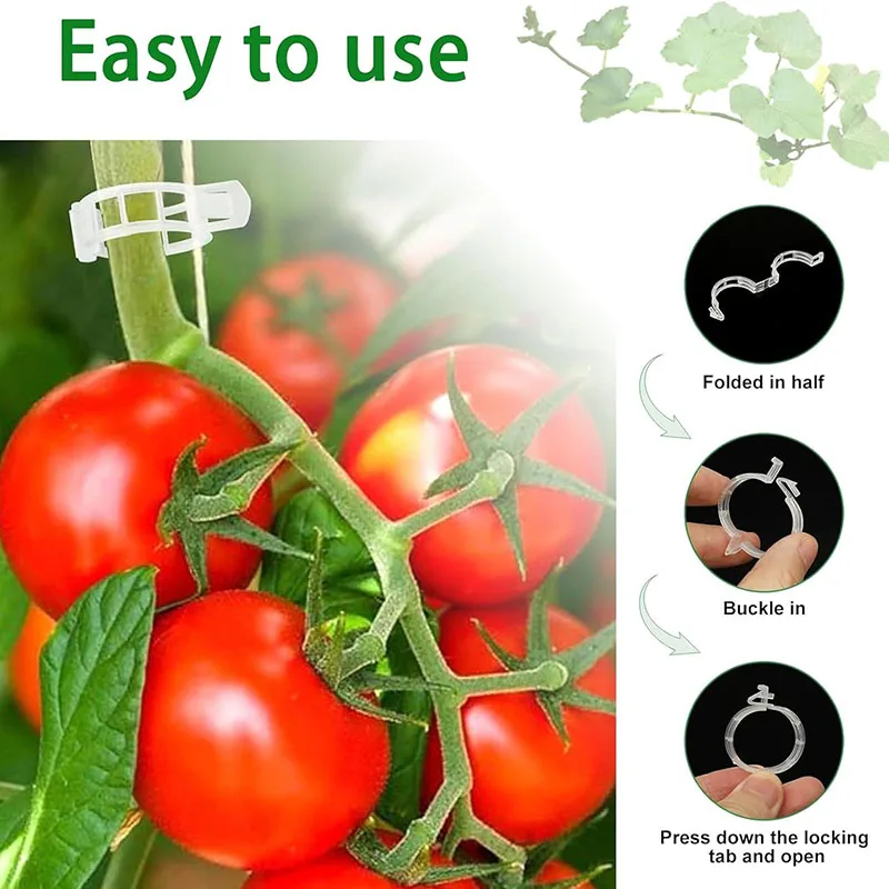 100 SZTUK Klipsy do mocowania  – Gardening Tools For Vines recenzja i cena