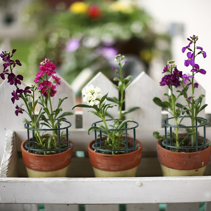 Plastikowa rama do podpierania – Gardening Tools For Vines recenzja i cena