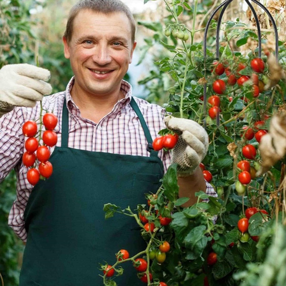 AT16 Obelisk do roślin pnących – Gardening Tools B&Q recenzja i cena