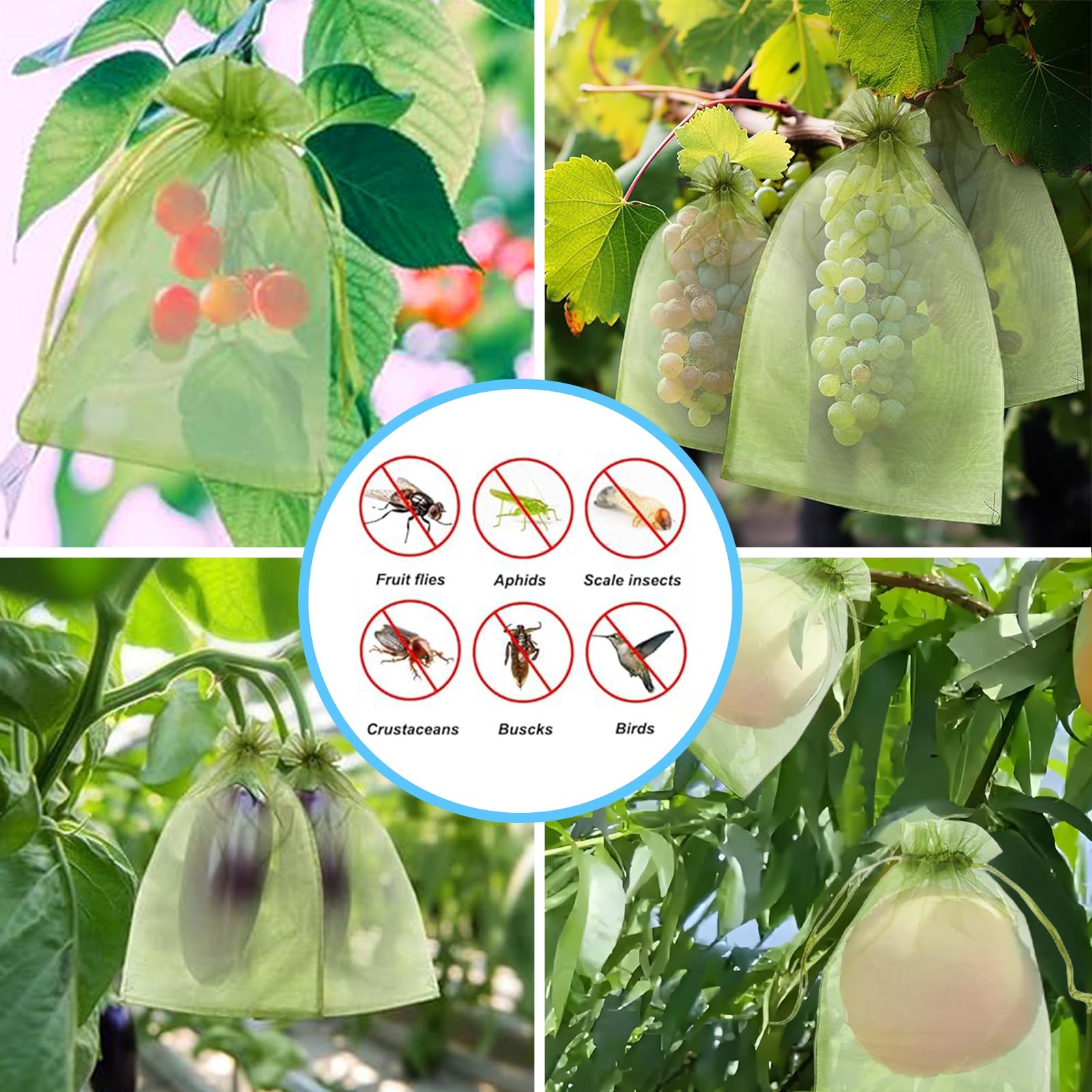 Skuteczna siatka przeciw ptako – Grow Bags recenzja i cena