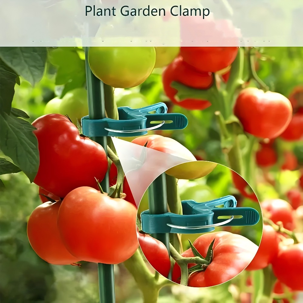 10/30/50 szt. Regulowane klips – Gardening Tools For Vines recenzja i cena
