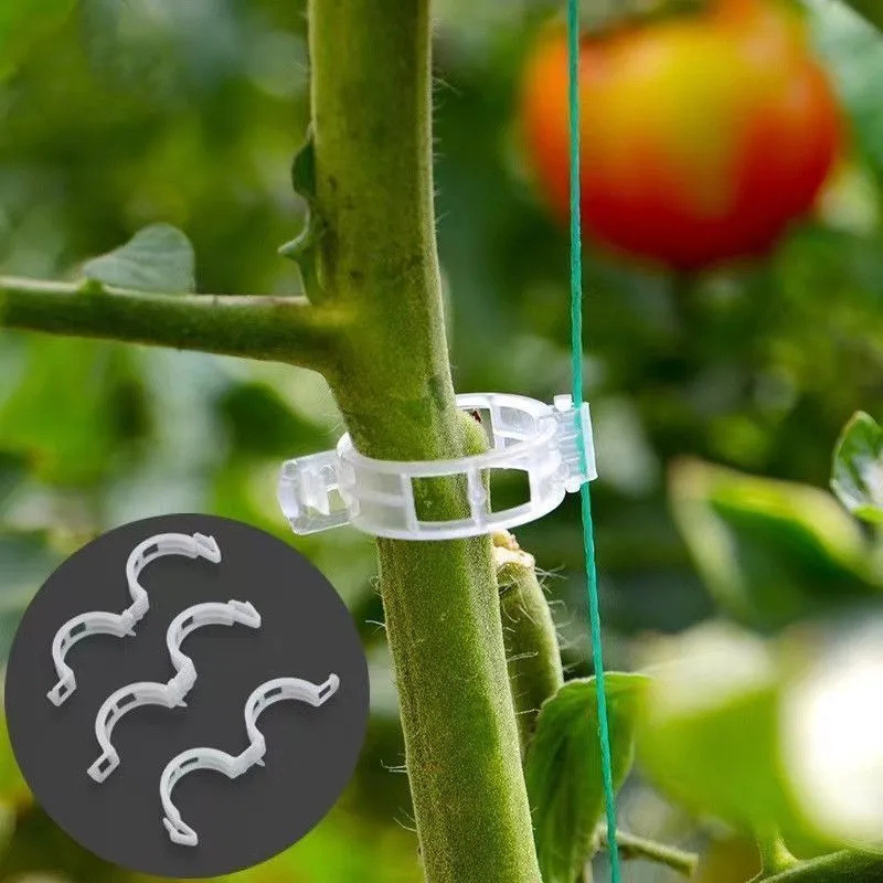 Hurtowe klipsy ogrodowe do roś – Gardening Tools For Vines recenzja i cena