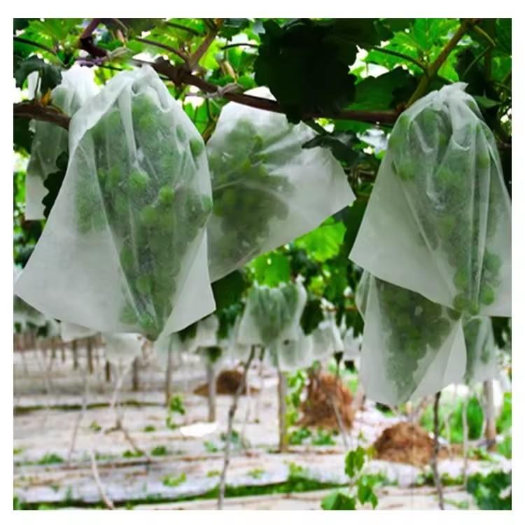 50 szt. Siatkowe worki do ochr – Grow Bags recenzja i cena