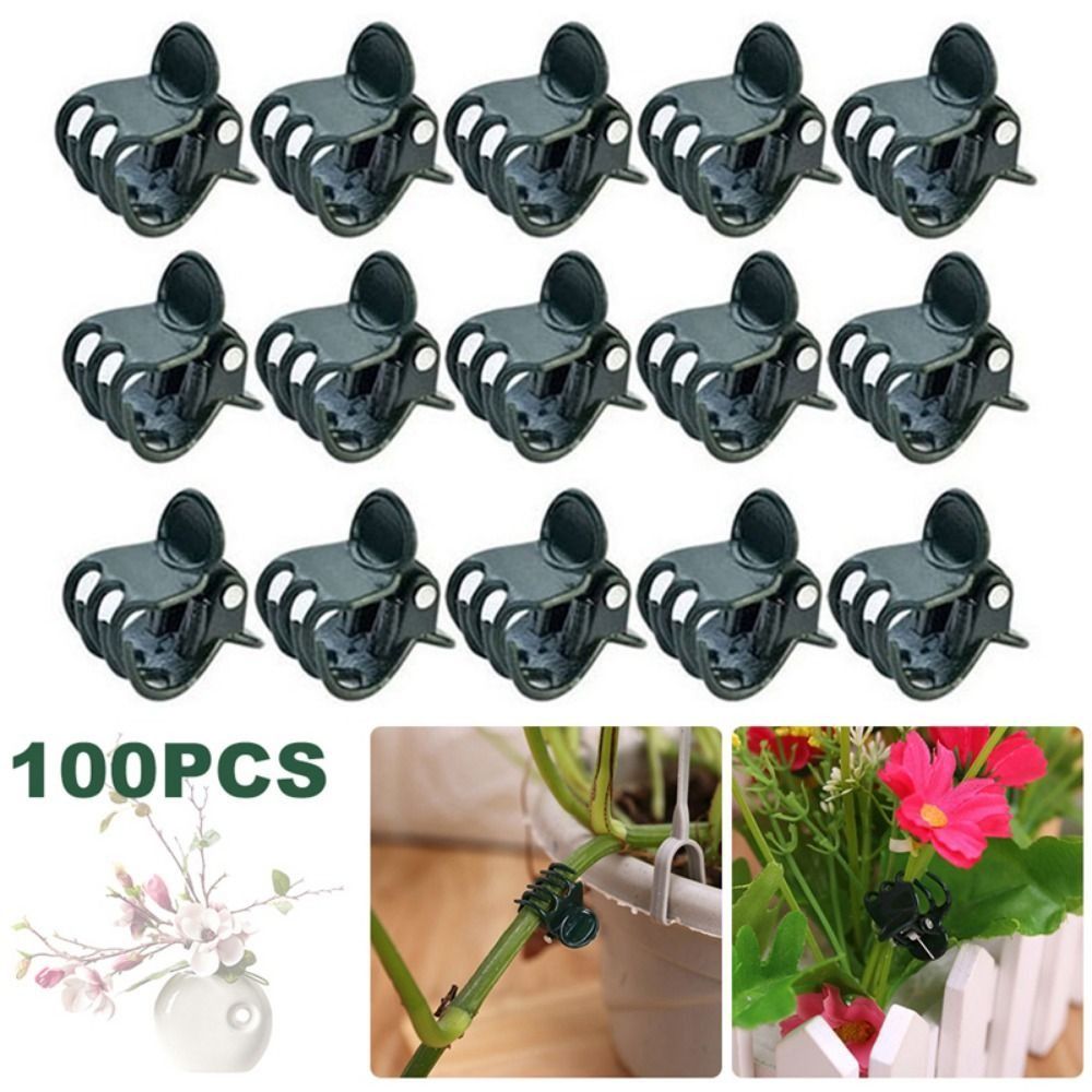 Klipsy do szczepienia winorośl – Gardening Tools For Vines recenzja i cena