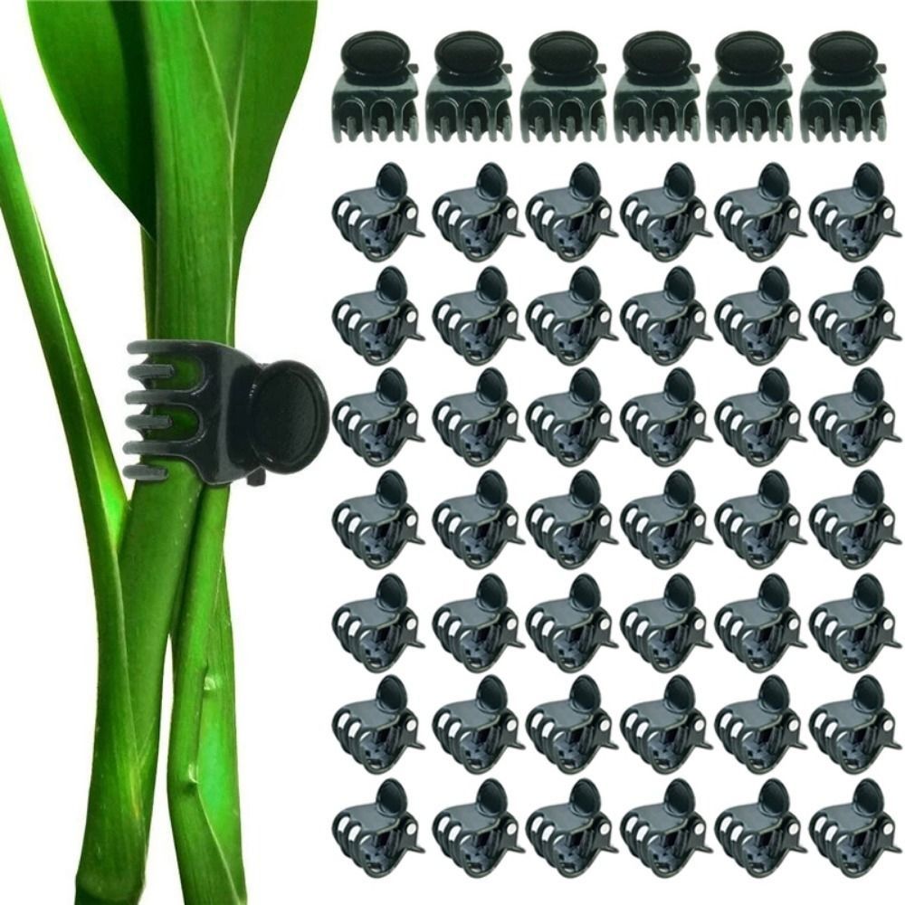 Klipsy do szczepienia winorośl – Gardening Tools For Vines recenzja i cena