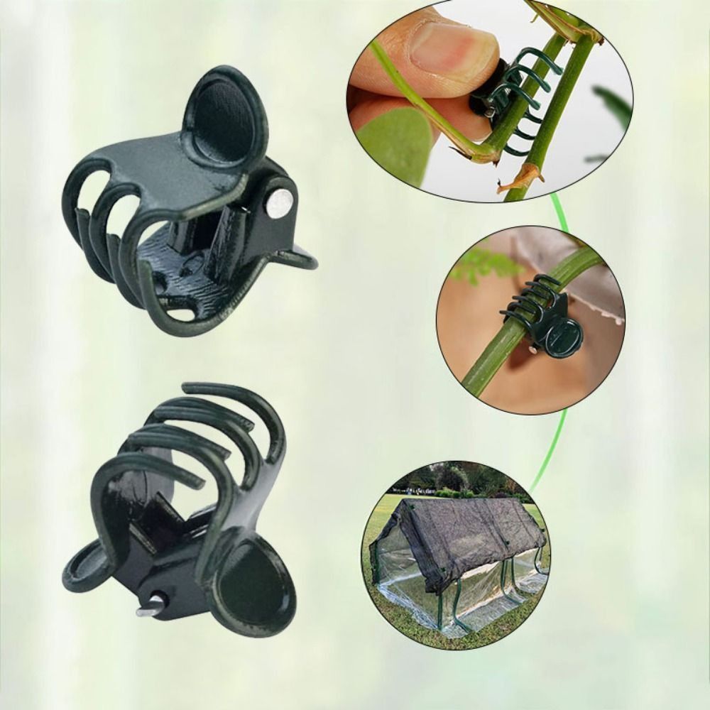 Klipsy do szczepienia winorośl – Gardening Tools For Vines recenzja i cena