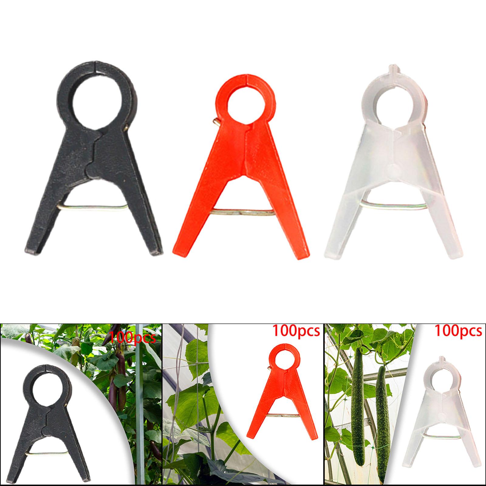 100 szt. Klipsy do podtrzymywa – Gardening Tools For Vines recenzja i cena