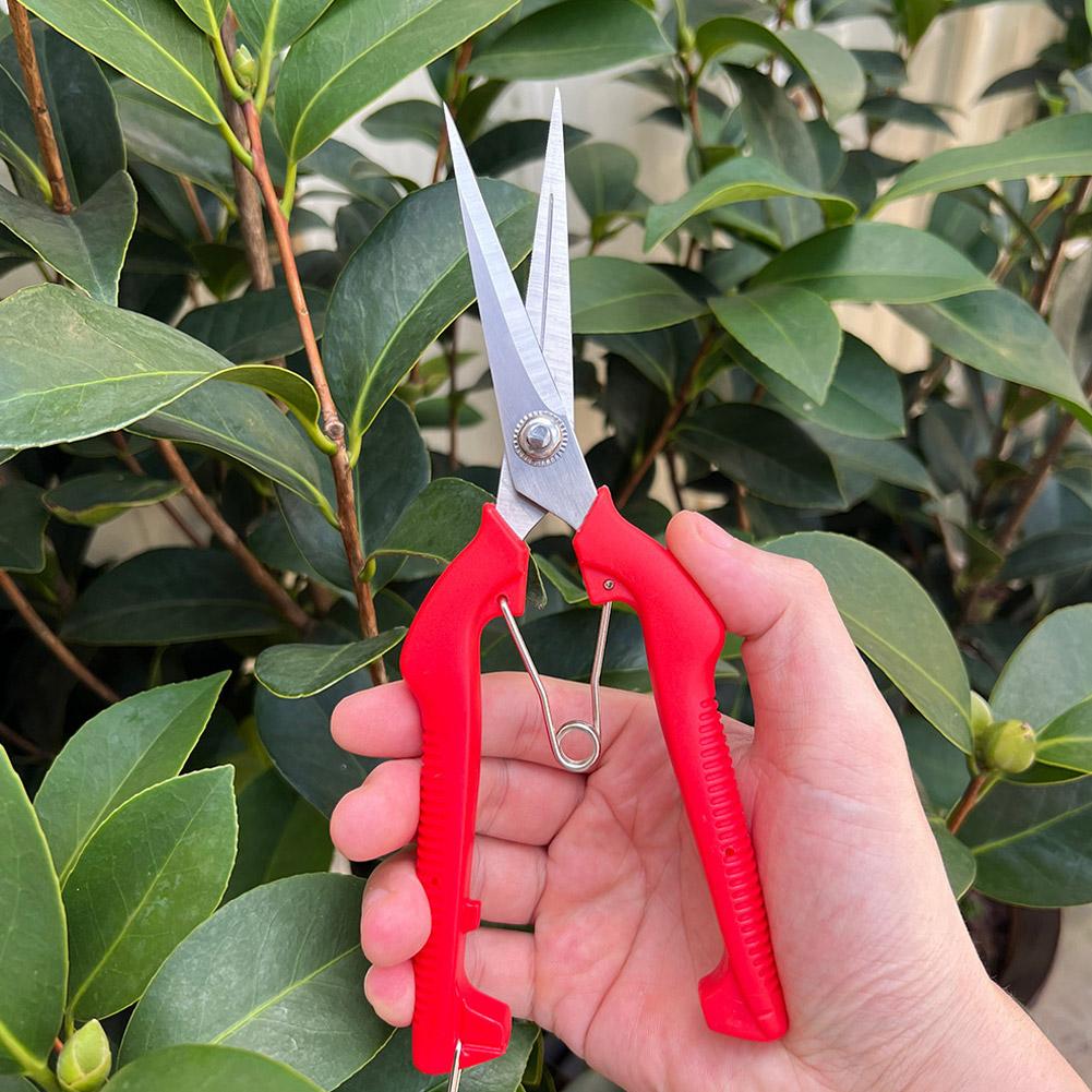 Profesjonalne nożyce ogrodowe  – Gardening Tools Scissors recenzja i cena