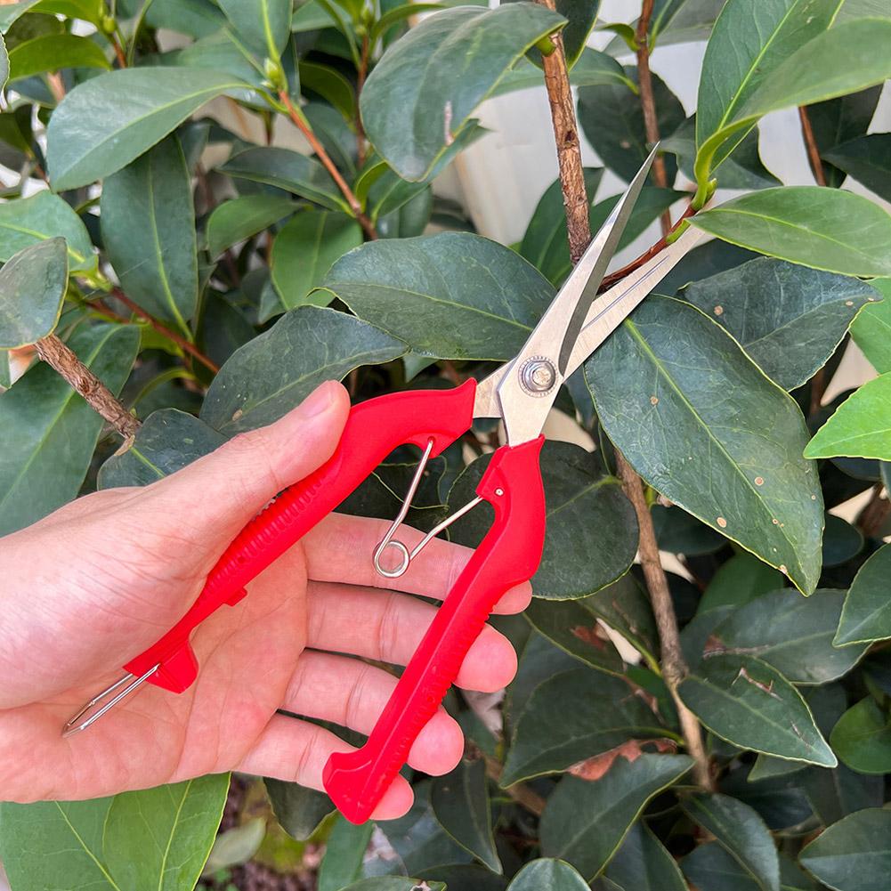 Profesjonalne nożyce ogrodowe  – Gardening Tools Scissors recenzja i cena