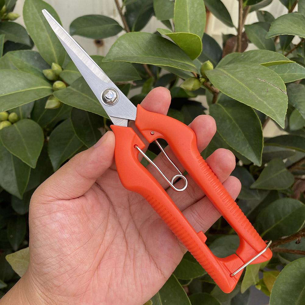 Profesjonalne nożyce ogrodowe  – Gardening Tools Scissors recenzja i cena