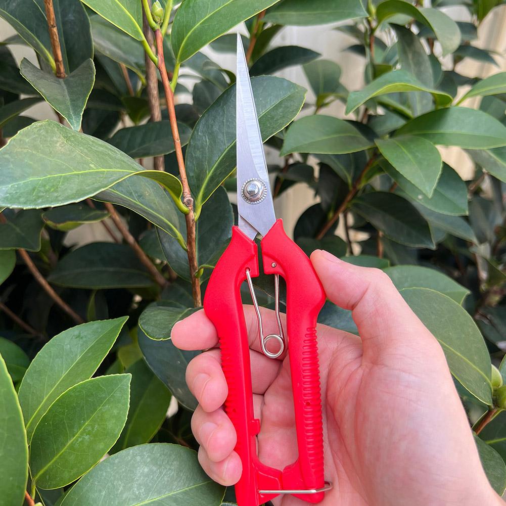 Profesjonalne nożyce ogrodowe  – Gardening Tools Scissors recenzja i cena