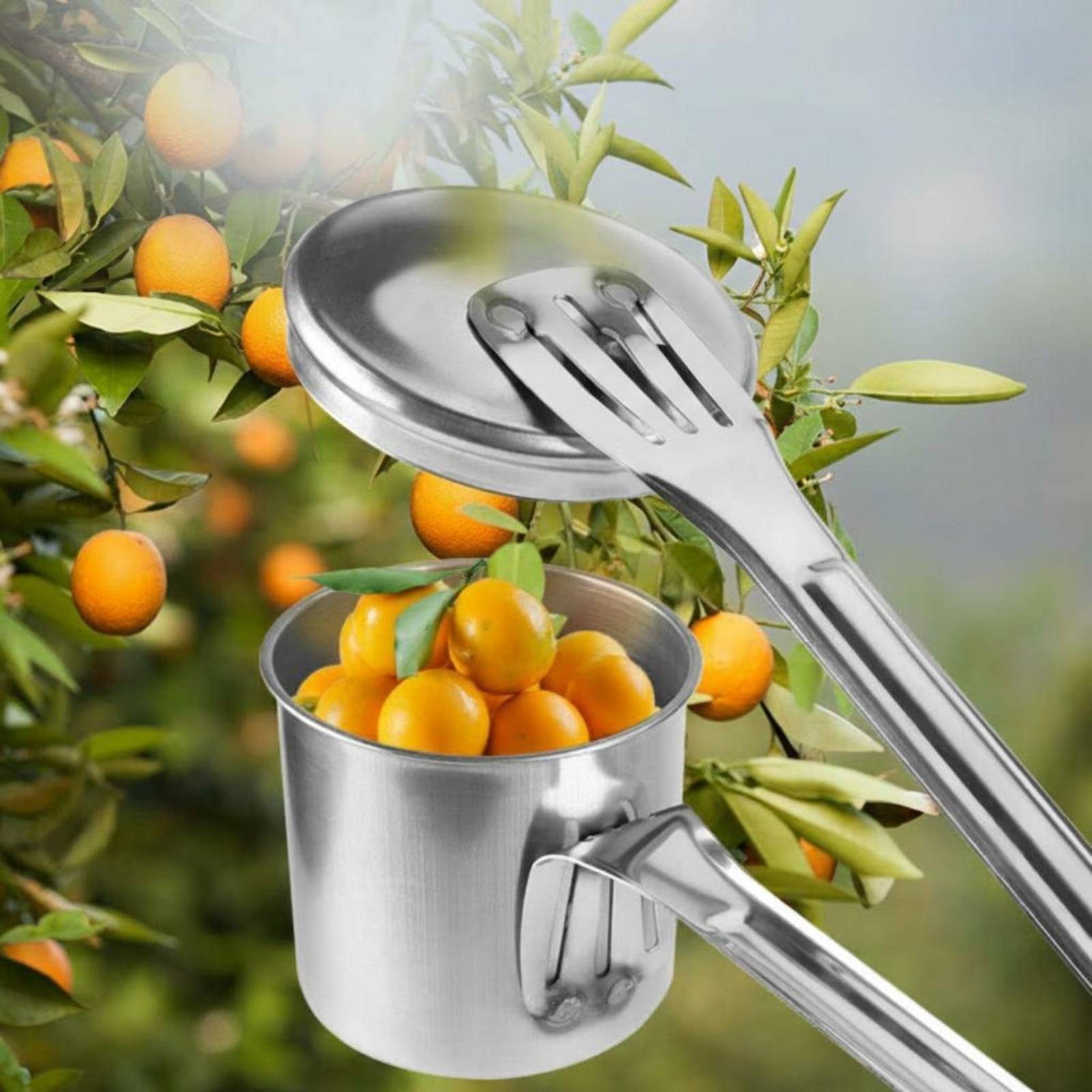 Łyżka do zbierania owoców ze s – Gardening Tools Uses recenzja i cena