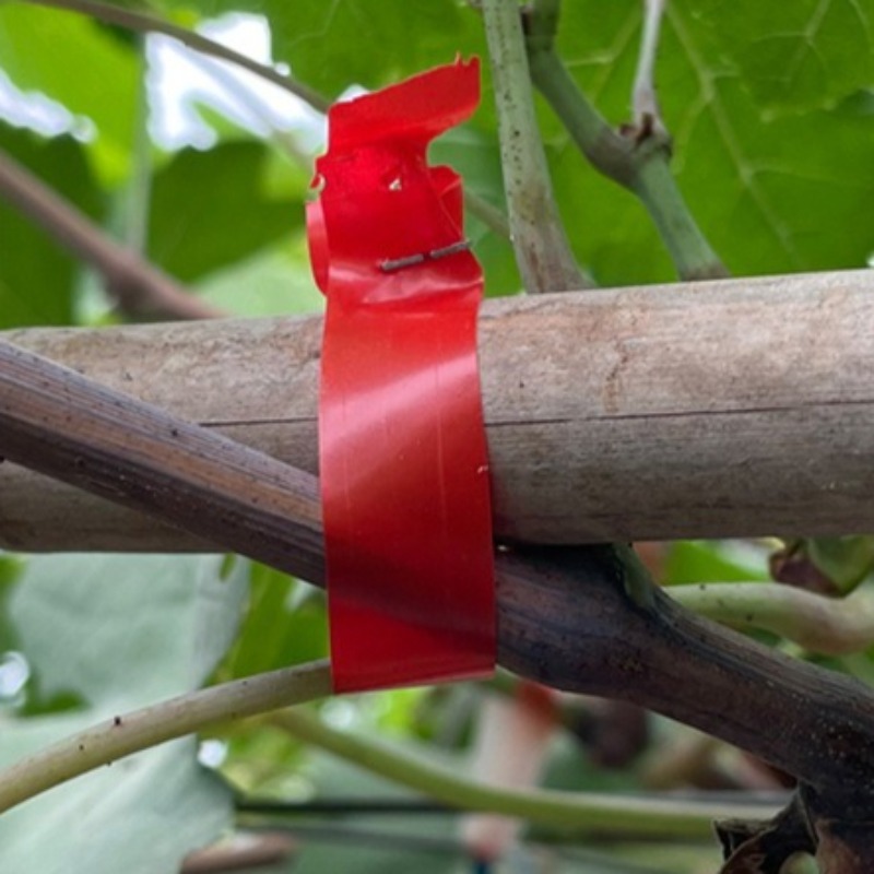 Maszyna do wiązania gałęzi win – Gardening Tools For Vines recenzja i cena