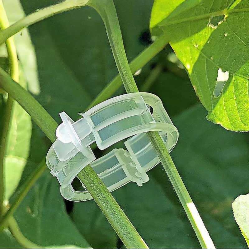 300/50 SZT. Klipsy do podtrzym – Gardening Tools For Vines recenzja i cena