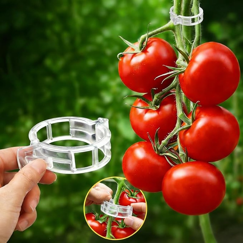 300/50 SZT. Klipsy do podtrzym – Gardening Tools For Vines recenzja i cena