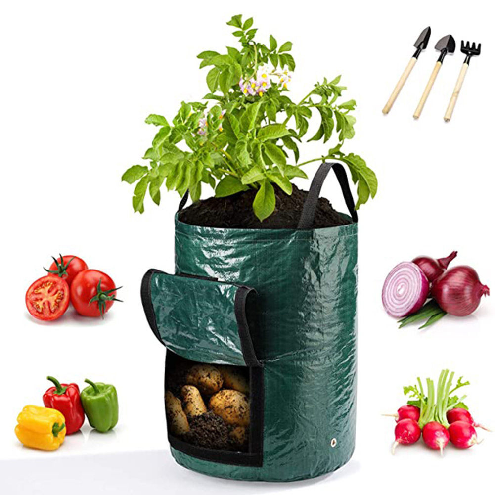 1 szt. 10-galonowe worki do up – Grow Bags recenzja i cena